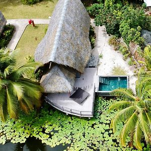 Bungalow Premium